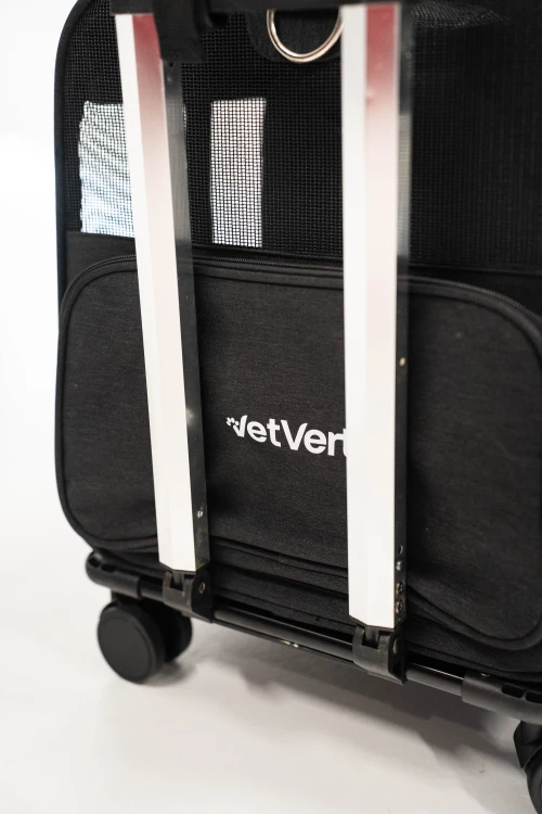 Transporter na kółkach dla dwóch kotów VETVERTA czarny | Duża torba transportowa 55 × 37 × 47 cm